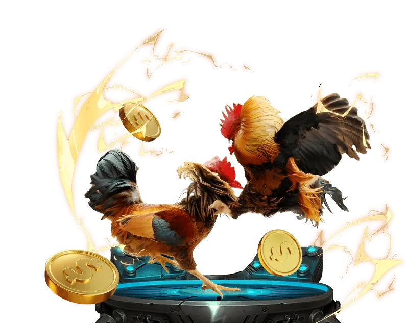 Hướng dẫn đăng ký và chơi đá gà tại 188lux